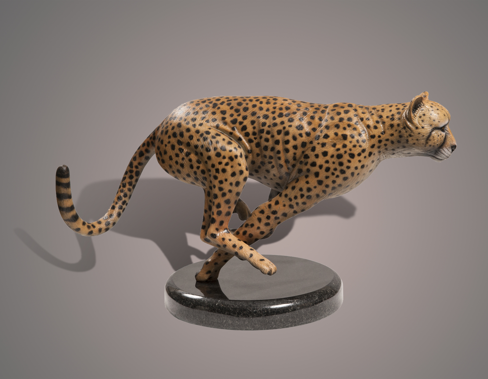 BRONZE "The Cheetah" Amazing Detail!!! Limited Edition SCULPTURE by