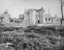 New 8x10 Photo- Destroyed French chateau after the Battle of the Somme 1916 - $8.81