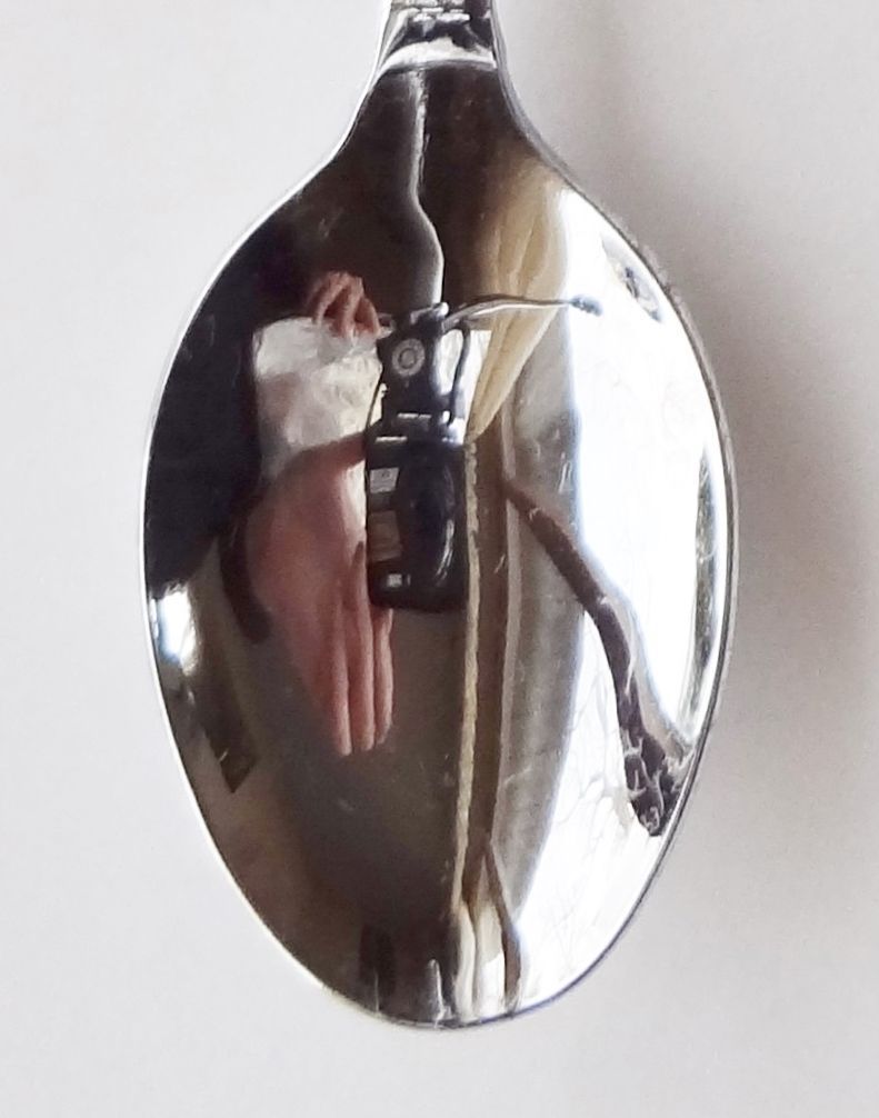 Collector Souvenir Spoon Great Britain UK England Clovelly Devon Donkey