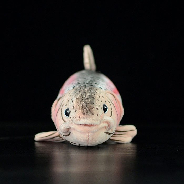 plush trout