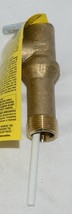 Watts LF100XL4 Temperature Pressure Safety Relief Valve Lead Free image 1