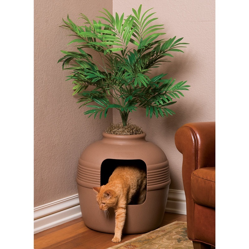 palm tree cat litter box