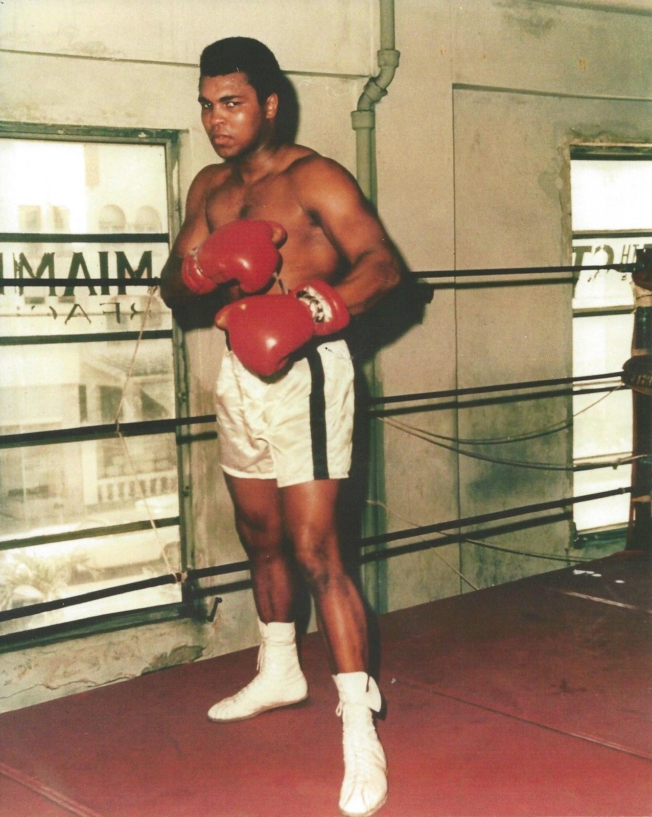 muhammad ali boxing