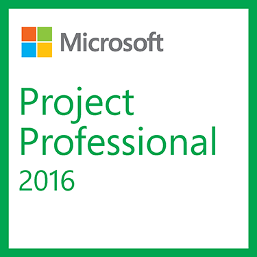 microsoft office project professional 2010