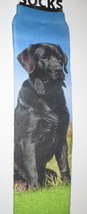 Black Lab Sublimation Socks Wild Habitat Adult One Size Fits Most Labrador Dog - $9.69