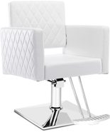 Paddie Salon Chair for Hair Stylist, Height Adjustable Hydraulic Chair B... - $519.99
