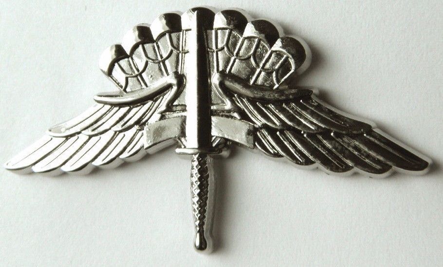 Air Force Paratrooper Large Halo Jump Wings Lapel Pin Badge 2 Inches ...