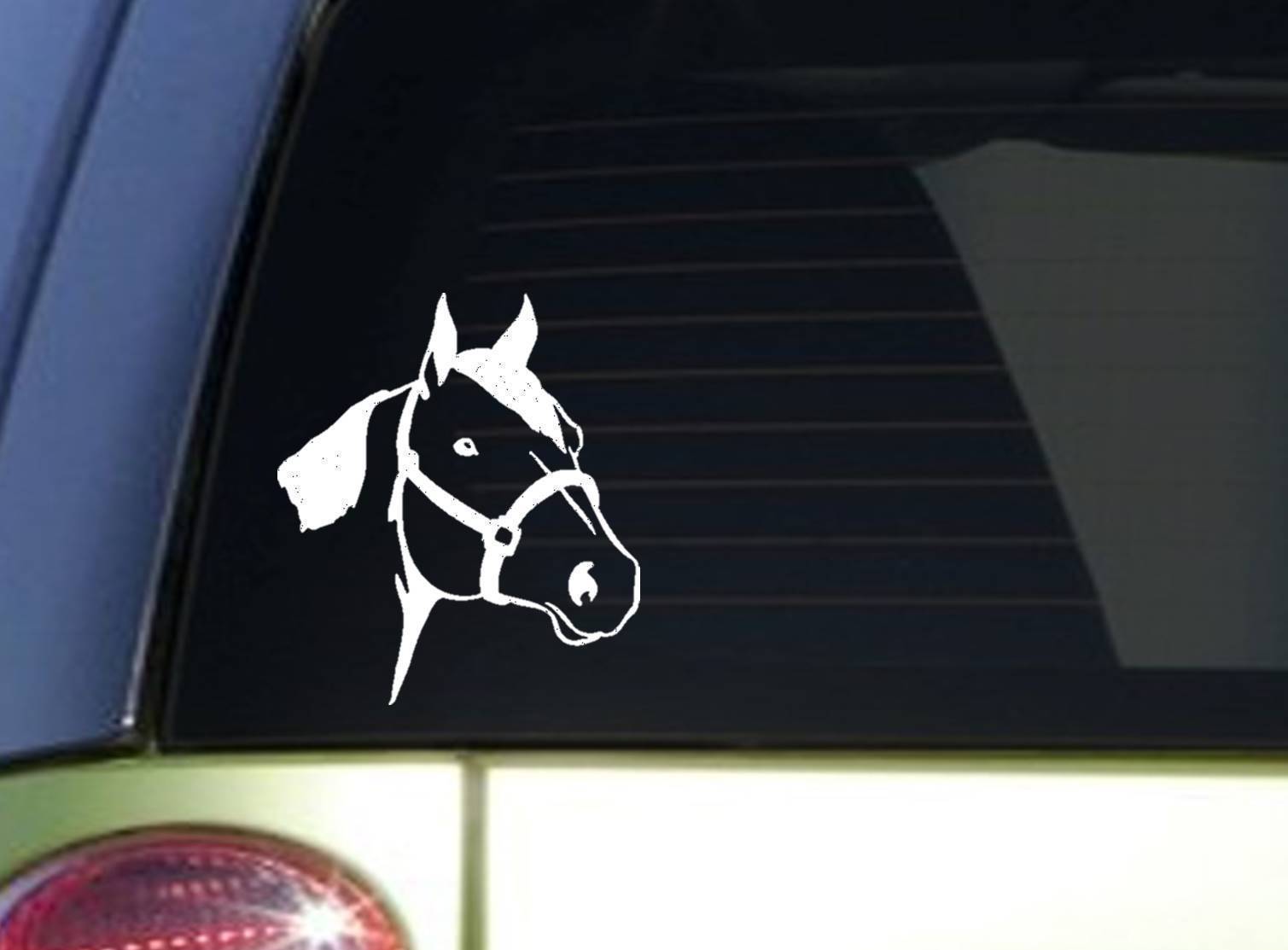 Quarter Horse sticker *I843* 6 inch Sticker horse decal … Decals