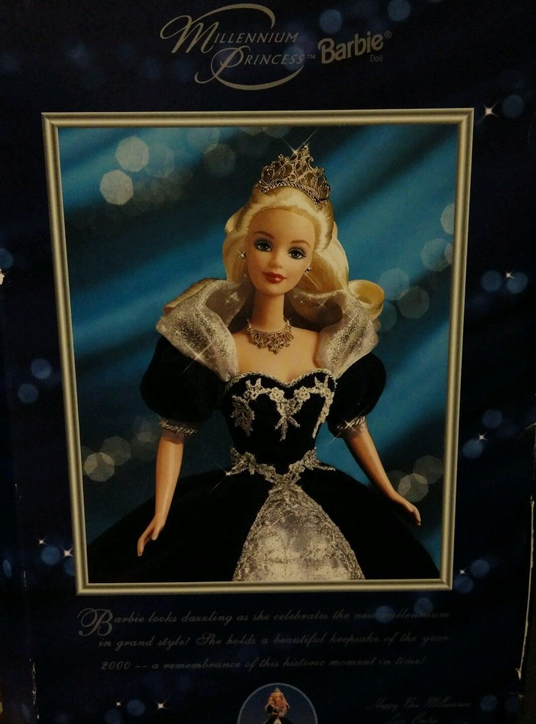 millennial barbie in box