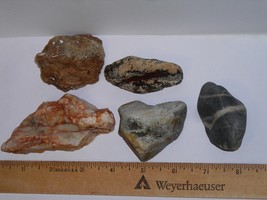 5 Unique Rocks--100% All Natural--Fantastic Find! - $6.99