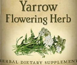 YARROW HERB - Healthy Immune System & Digestive Tract Support Tincture USA - $24.97+