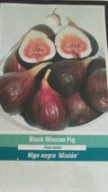 Black Mission Fig Tree 1'-3' Live Plant Fruit Trees Healthy Figs Plants Garden - $140.60