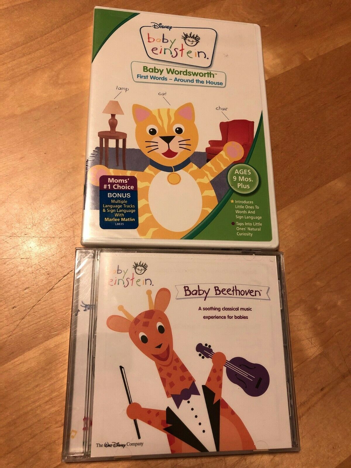 Baby Einstein Wordsworth First Words Around The House Dvd New 