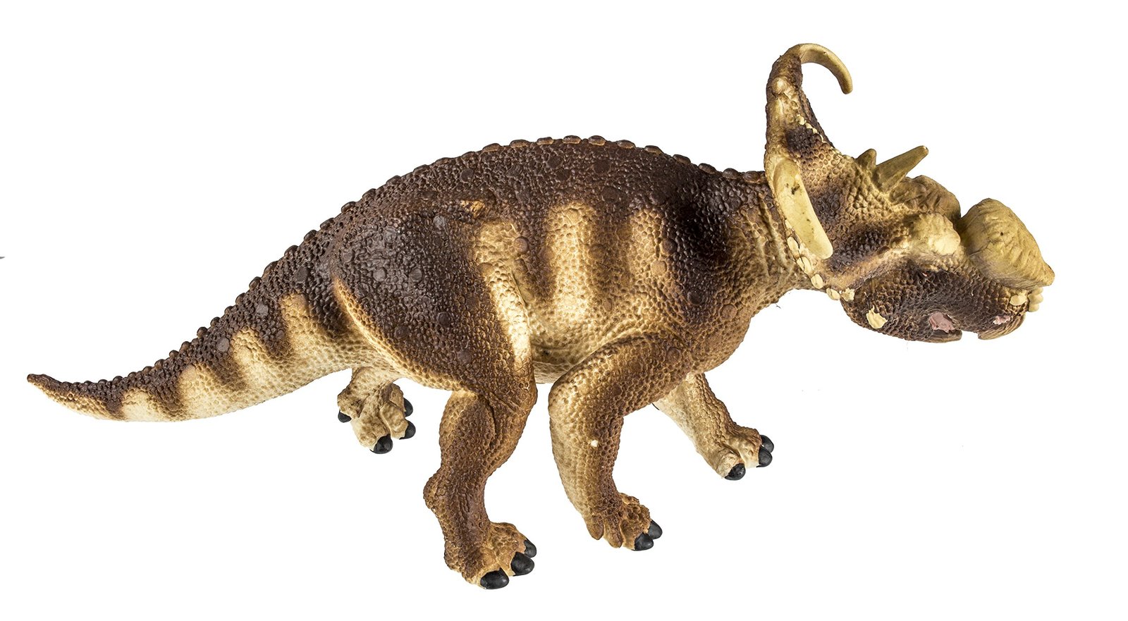 safari pachyrhinosaurus