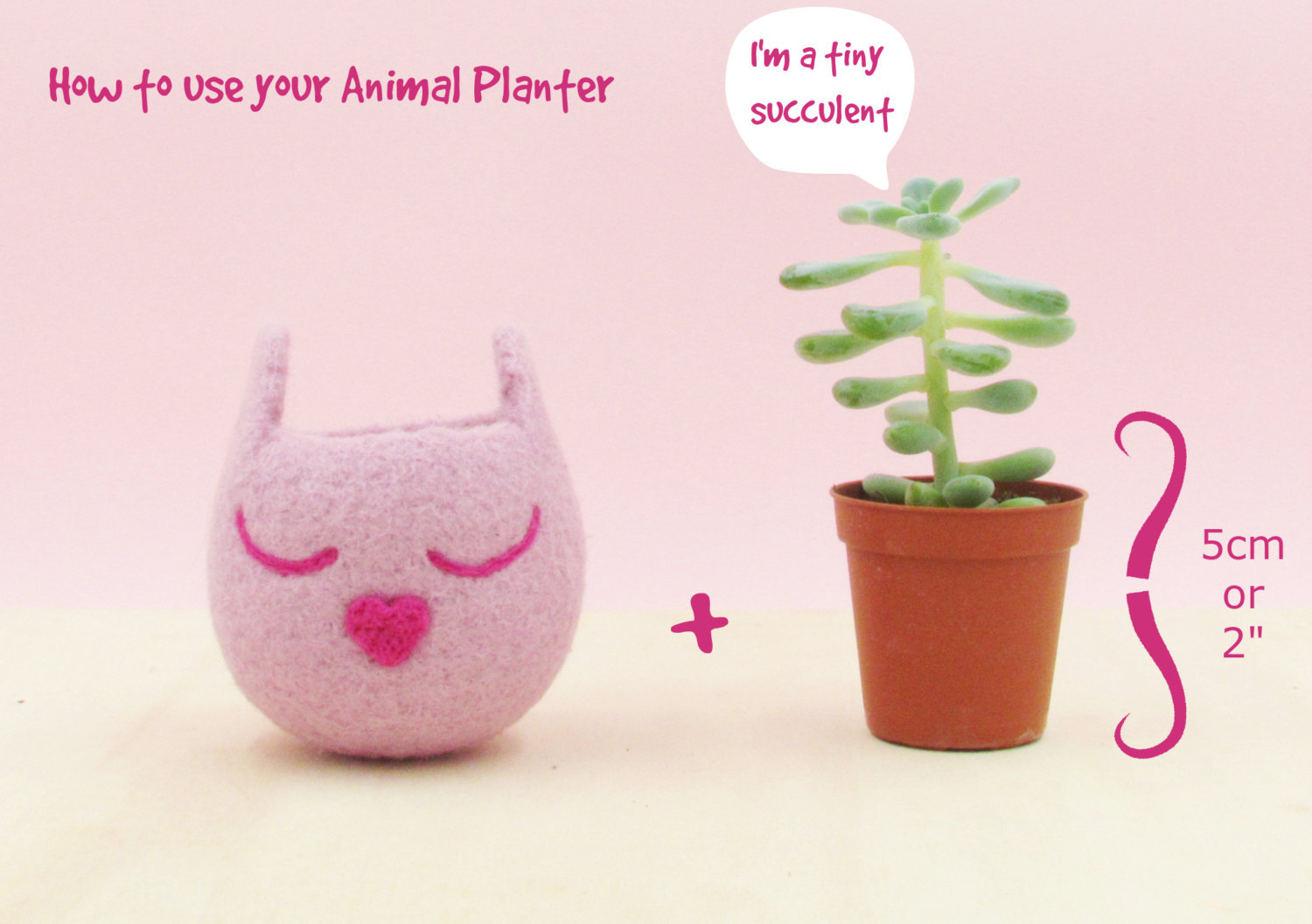 Planter / Koala head planter / Small succulent pot / Felt succulent