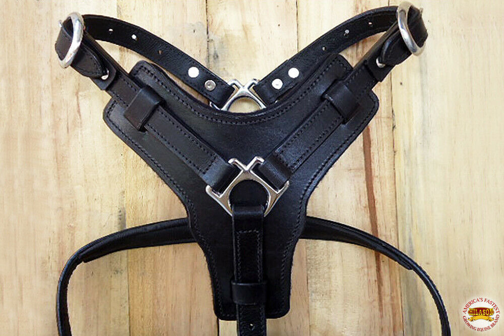 Small Leather Dog Harness Black Padded Genuine Matching Leash Hilason U ...