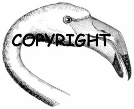 FLAMINGO FACE new mounted rubber stamp - $6.50