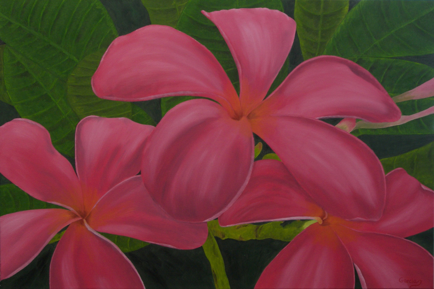 Frangipani Oil Painting, Plumeria Painting, "Pink Plumerias" (24" x 36