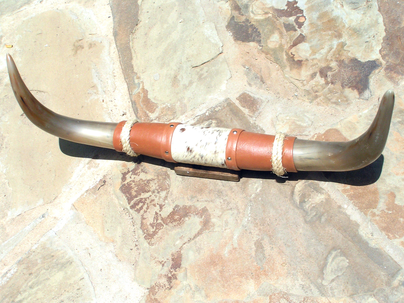 Mounted Steer Wall Horns Cow Horn 0551 Small - Decor