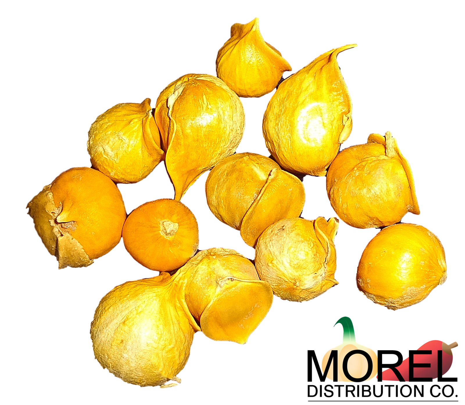 Japanese Garlic (Ajo Japones) Count per bag= 30-60-130 Japanese Garlic (Ajo Japones) Count per bag= 30-60-130