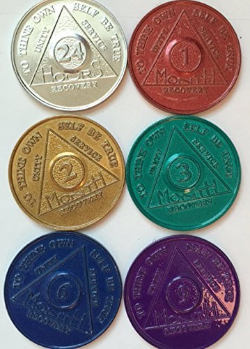 6 AA Tokens Medallions Chips Aluminum Set 1 2 3 6 9 Month & 24 Hour Hours Alc...