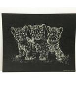 Vintage Lion Cubs White on Black Print 1977 Jane Hill Studio   8 x 10 - $9.75