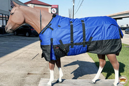 Hilason 600D Winter Waterproof Poly Horse Blanket Belly Wrap Royal Blue - $74.95