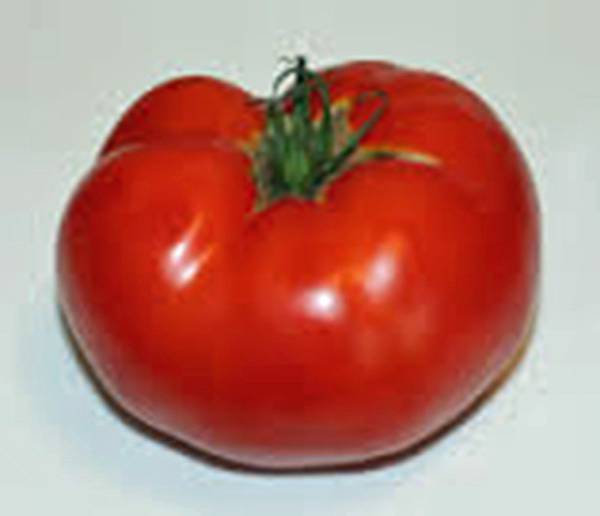 TOMATO SEEDS, RUTGERS, HEIRLOOM, ORGANIC, 100 SEEDS, NON GMO, LARGE TOMATOES