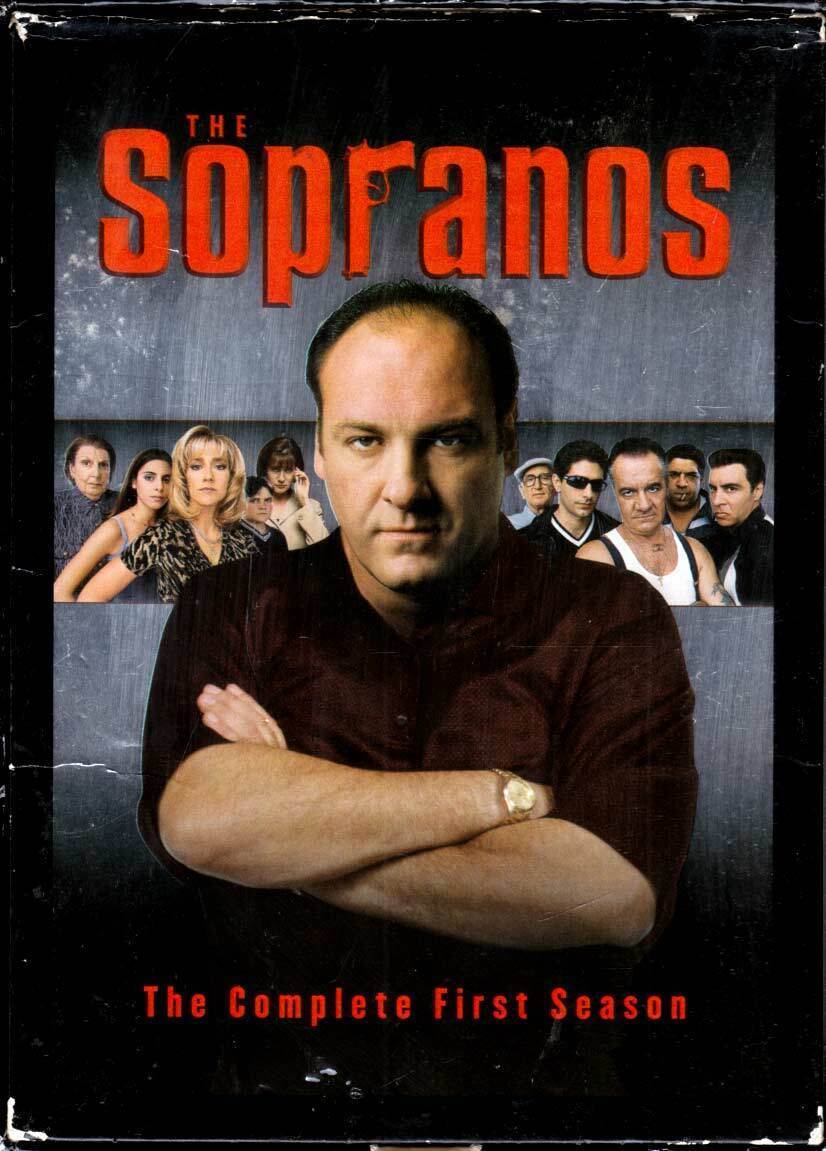 The Sopranos: Season 1 [VHS 5 Tape Box Set] / James Gandolfini, Edie ...