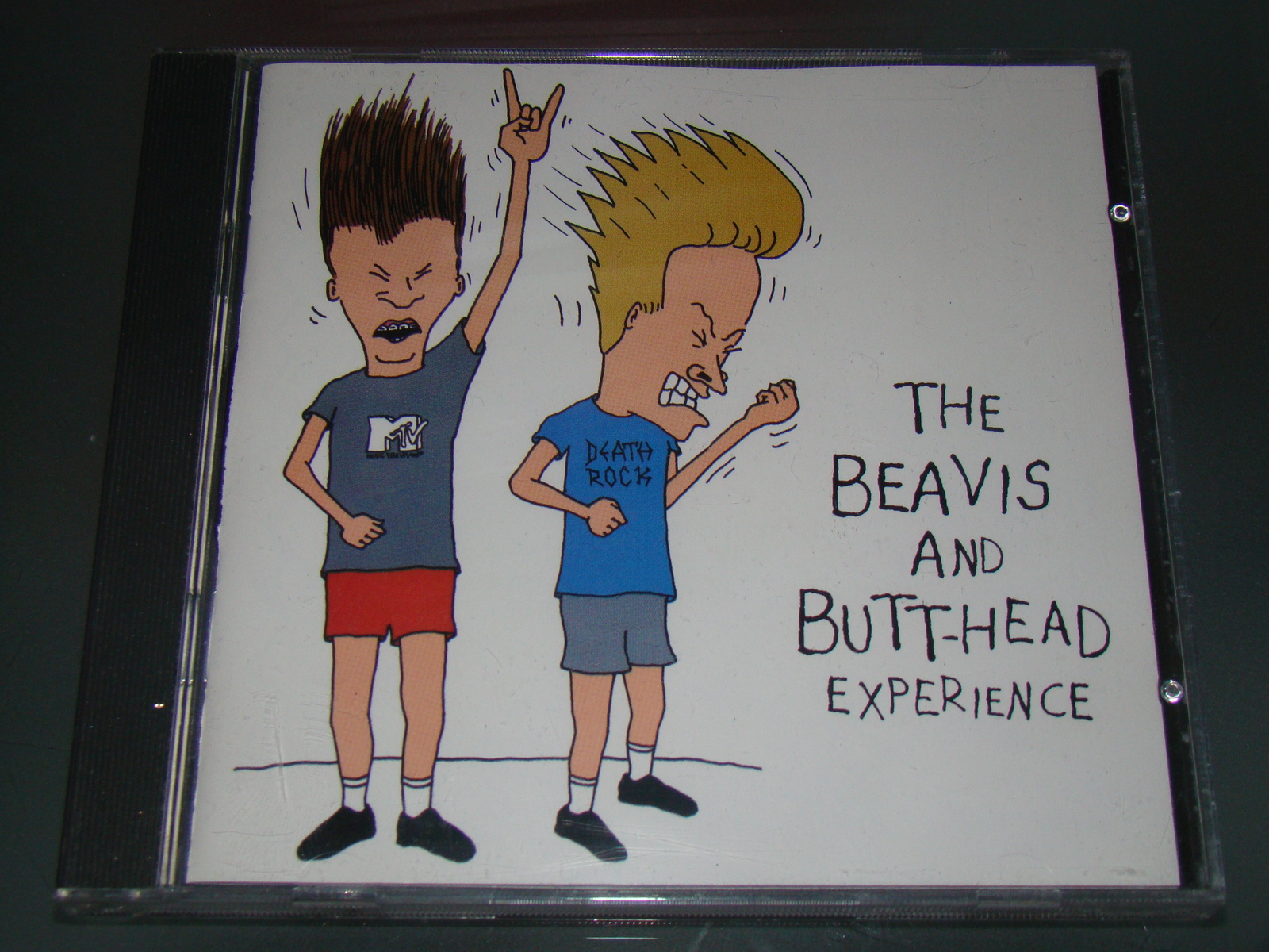 THE BEAVIS AND BUTT-HEAD EXPERIENCE (Cd) - CDs