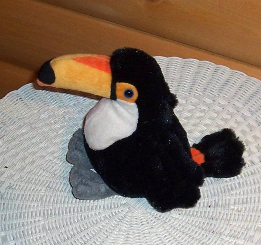 webkinz toco toucan