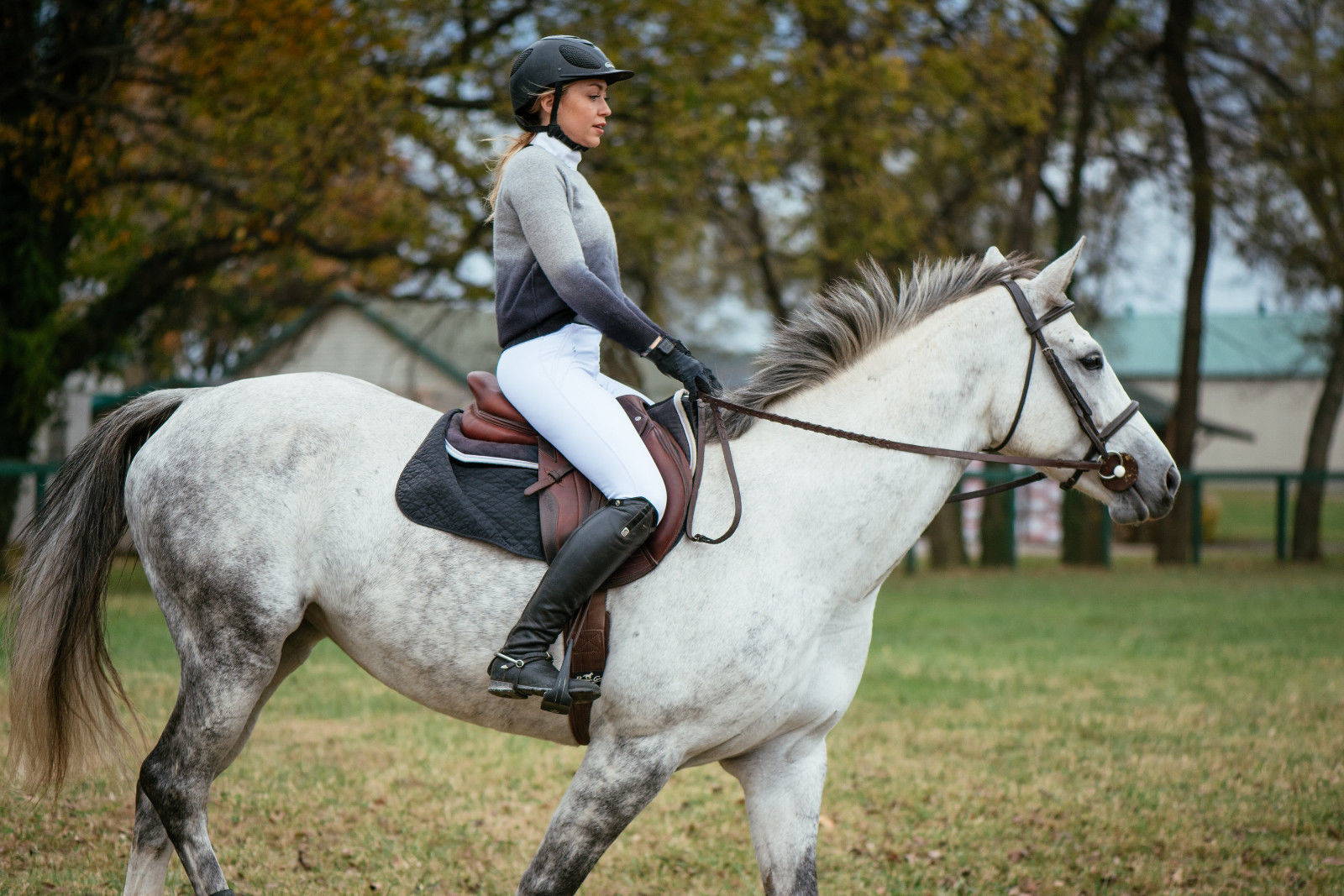 Ashley English Horse Riding Breeches Navy and 29 similar items