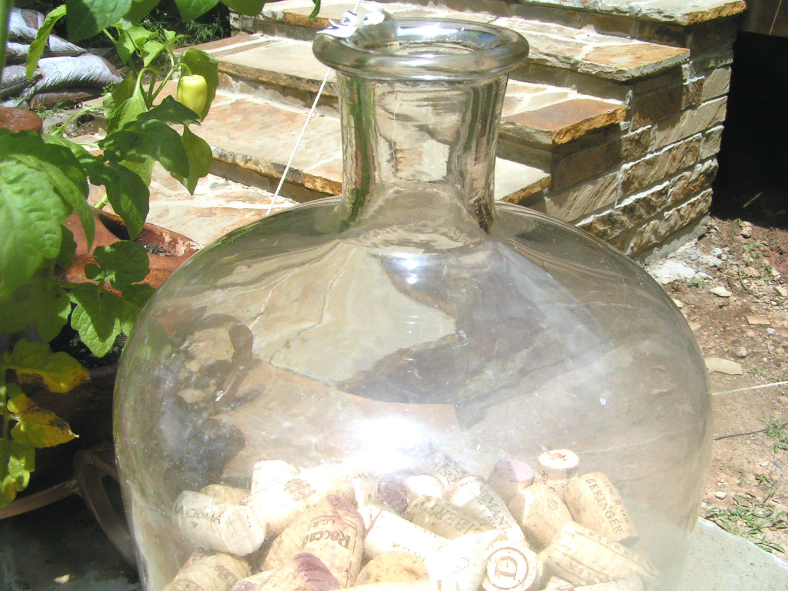 Large Old Italian Wine Bottle JUG Glass DEMI JOHN with Corks 2089 BZ