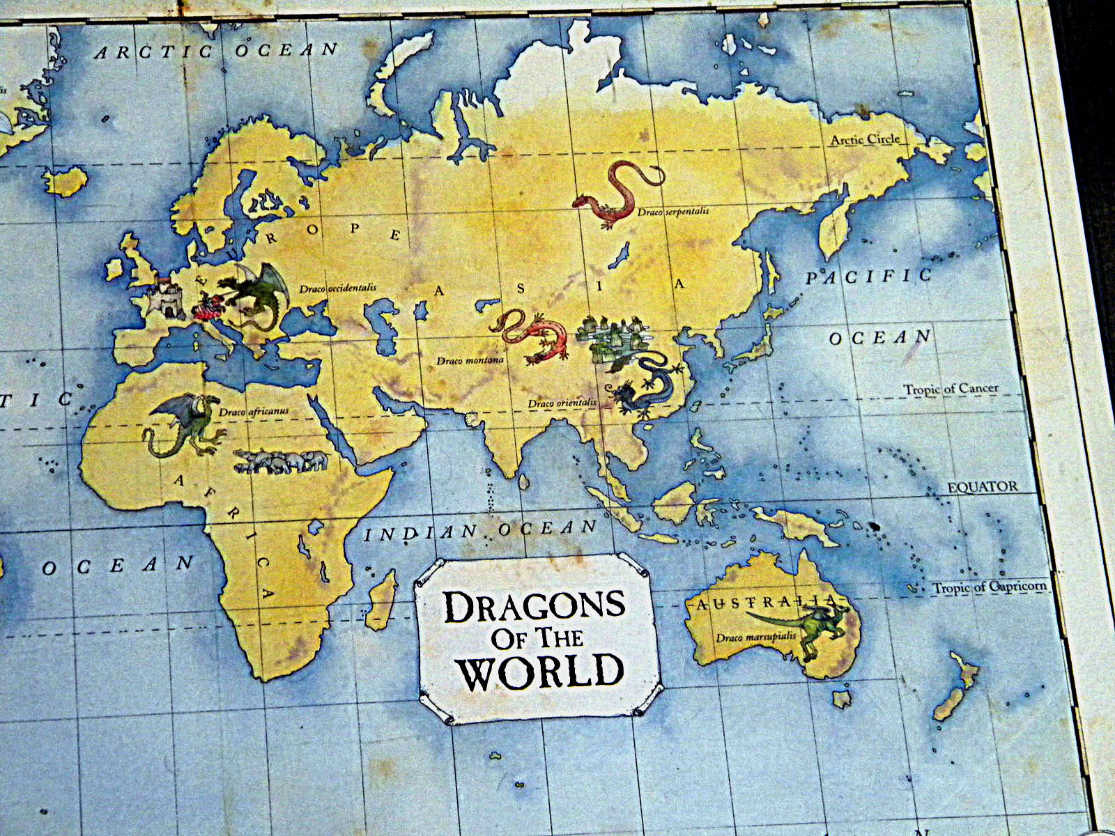 dragons-of-the-world-map-showing-continents-and-similar-items