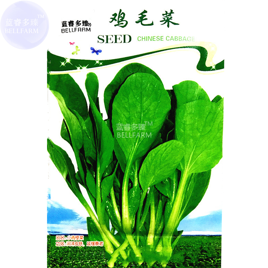 Pterocladia tenuis Chinese Little Greens Vegetable Seeds, 500 seeds