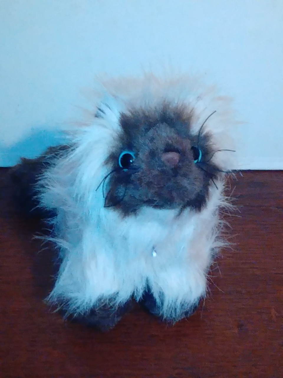 webkinz himalayan cat