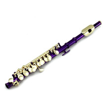 Band Approved SKY Purple Piccolo Flute w Gold Keys LIMITED - $129.99
