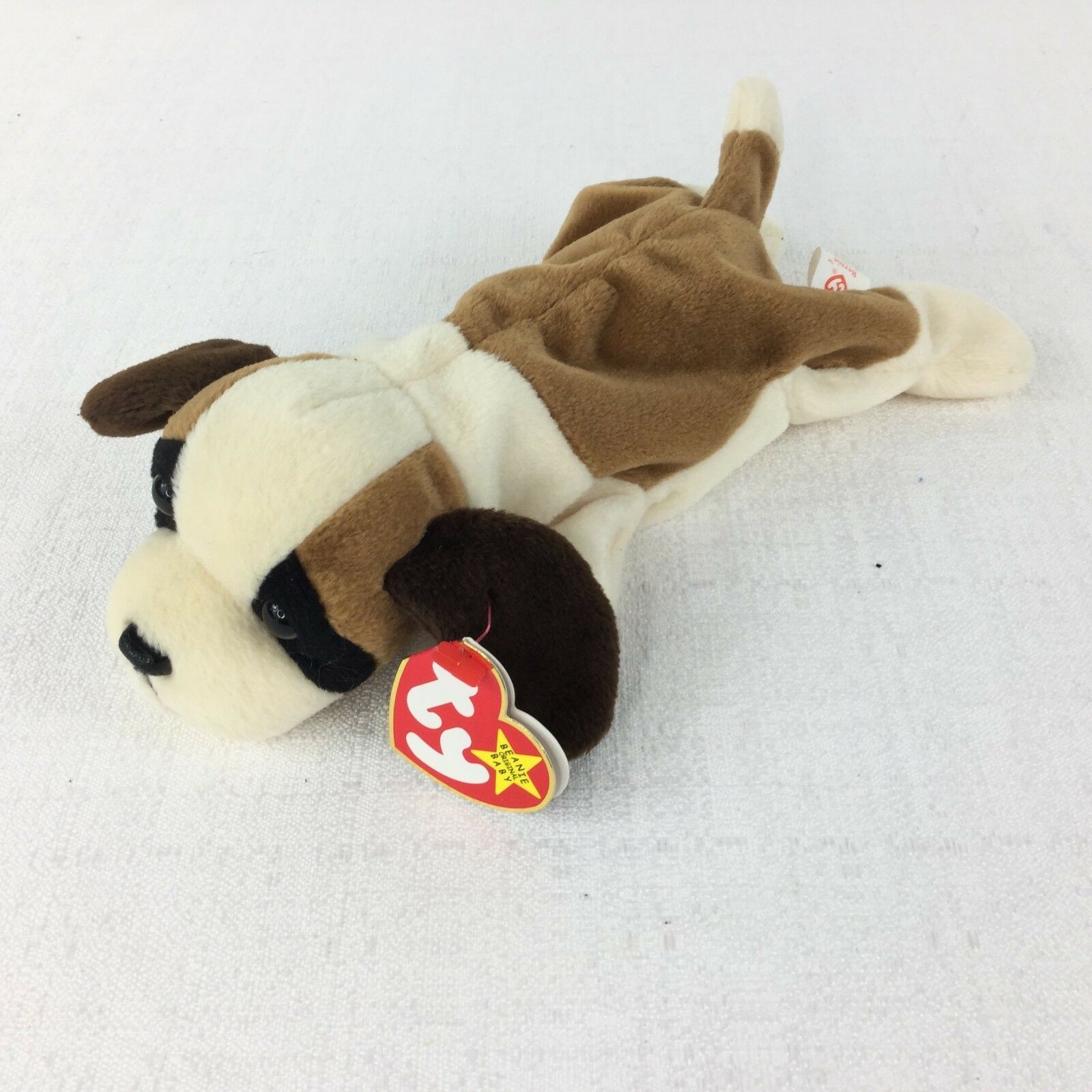 bernie the st bernard squishmallow
