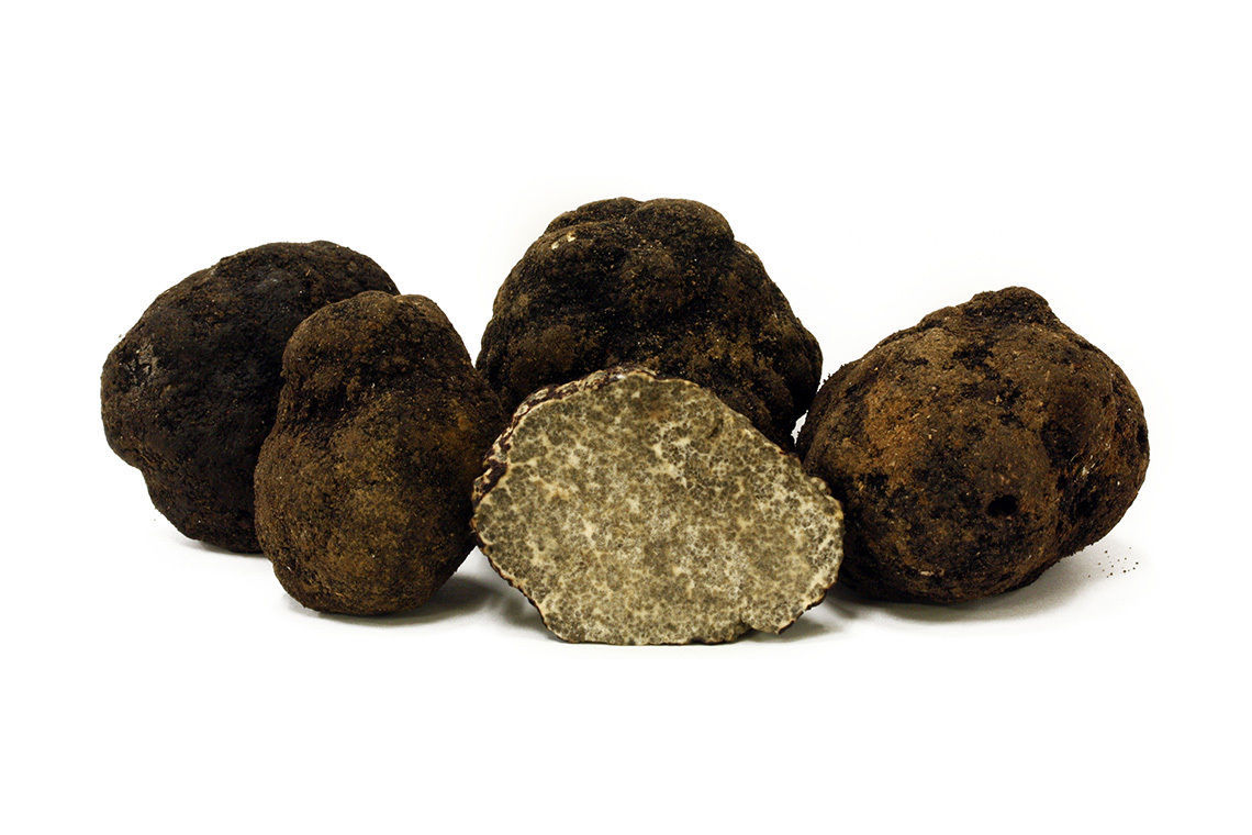 10 g Fresh Sterile OREGON BLACK TRUFFLE Mycelium Mushroom Spawn Spores