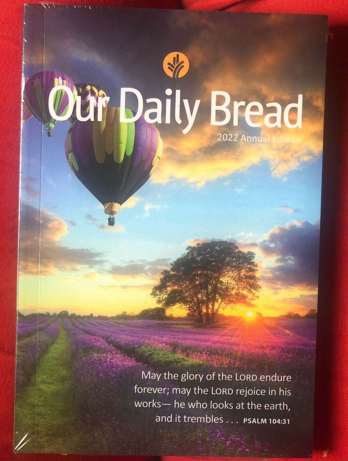 Our Daily Bread Devotional 2022 Annual Edition 6” x 4” Books