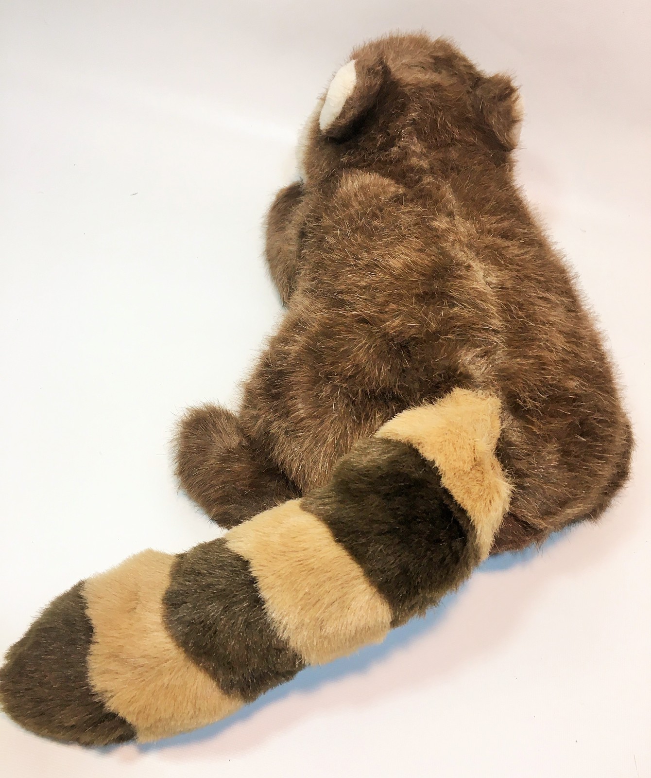 raccoon with stuffed animal