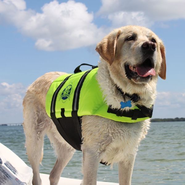 LARGE DOG LIFE PRESERVER labrador collie boxer pit bull DOG LIFE VEST FLOAT USA Safety Vests
