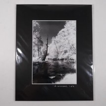 Black Mat Photo Landscape Park Infrared Photography Limited Ed 1/2 Signe... - $37.30
