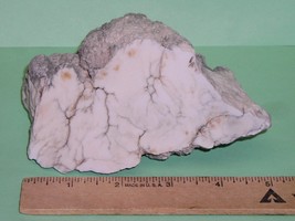 Rough Cut Howlite--From Tick Canyon--Display--Collecy--Lapidary - $19.99