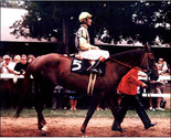 t2ec16z wse9suwyqoubq4jqovy7g 60 12 thumb155 crop