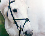 t2ec16fhjfoe9nh6n 6fbq4kqdizoq 60 12 thumb155 crop
