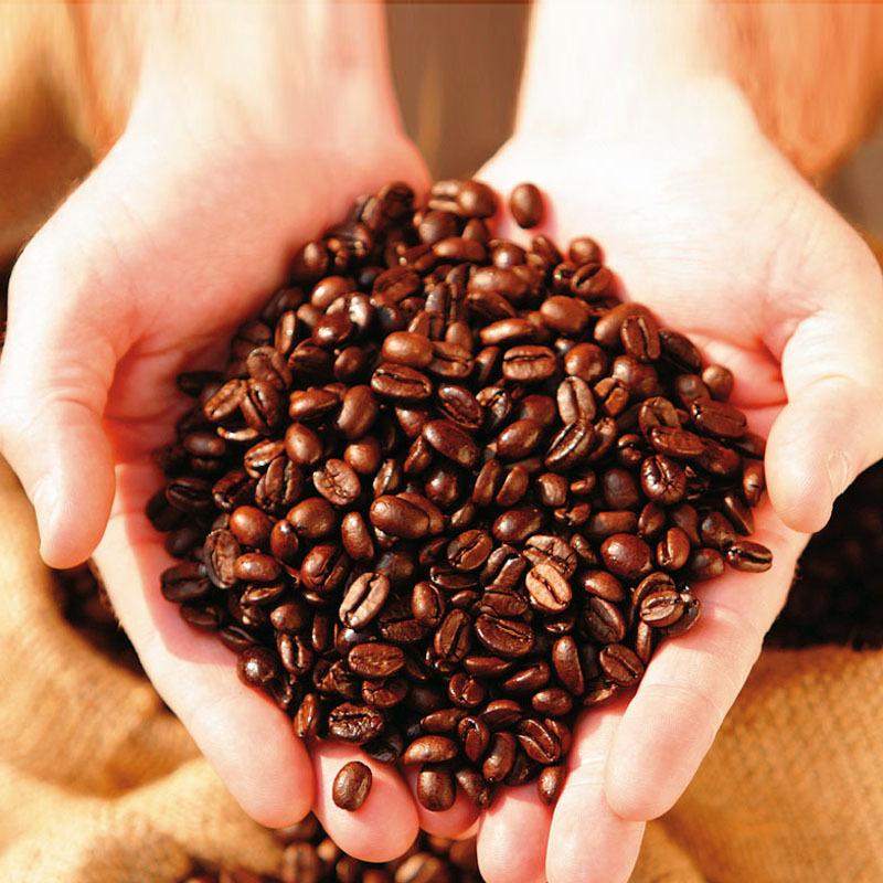 20 Pcs Coffee Bean Seeds Tree Plant Seed Coffee Cherry