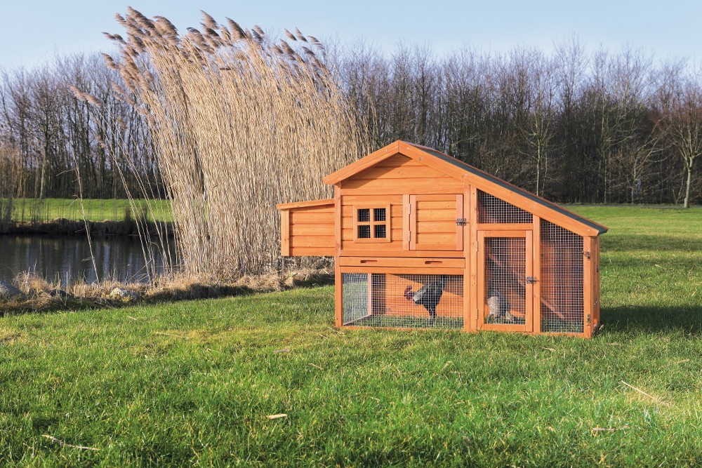 Chicken Coop Cage House Building Poultry Supplies Roosting Wood Frame