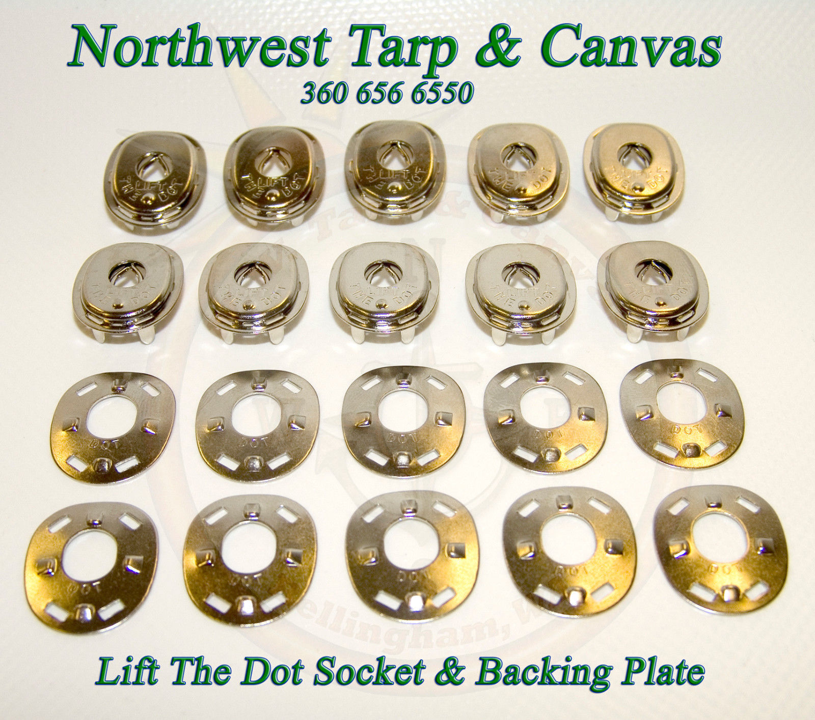 Backing Plate /& 1//2/" Screw Stud 100 sets Lift The Dot Fasteners Kit S.S Socket