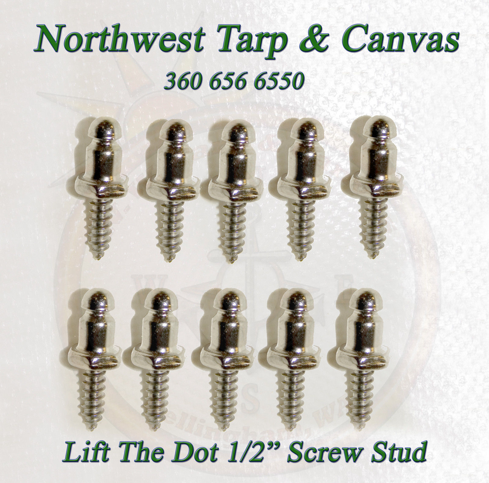 Backing Plate /& 1//2/" Screw Stud 100 sets Lift The Dot Fasteners Kit S.S Socket